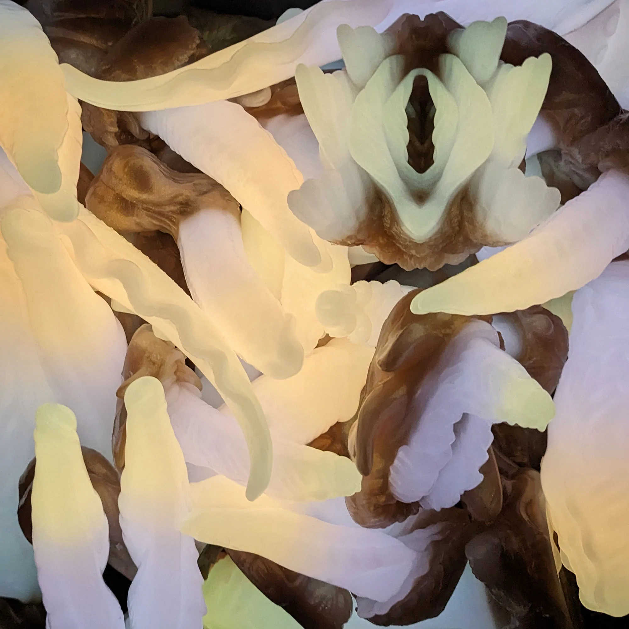 LK-3R L-3709 ~ Large Size ~ Soft - Image 3
