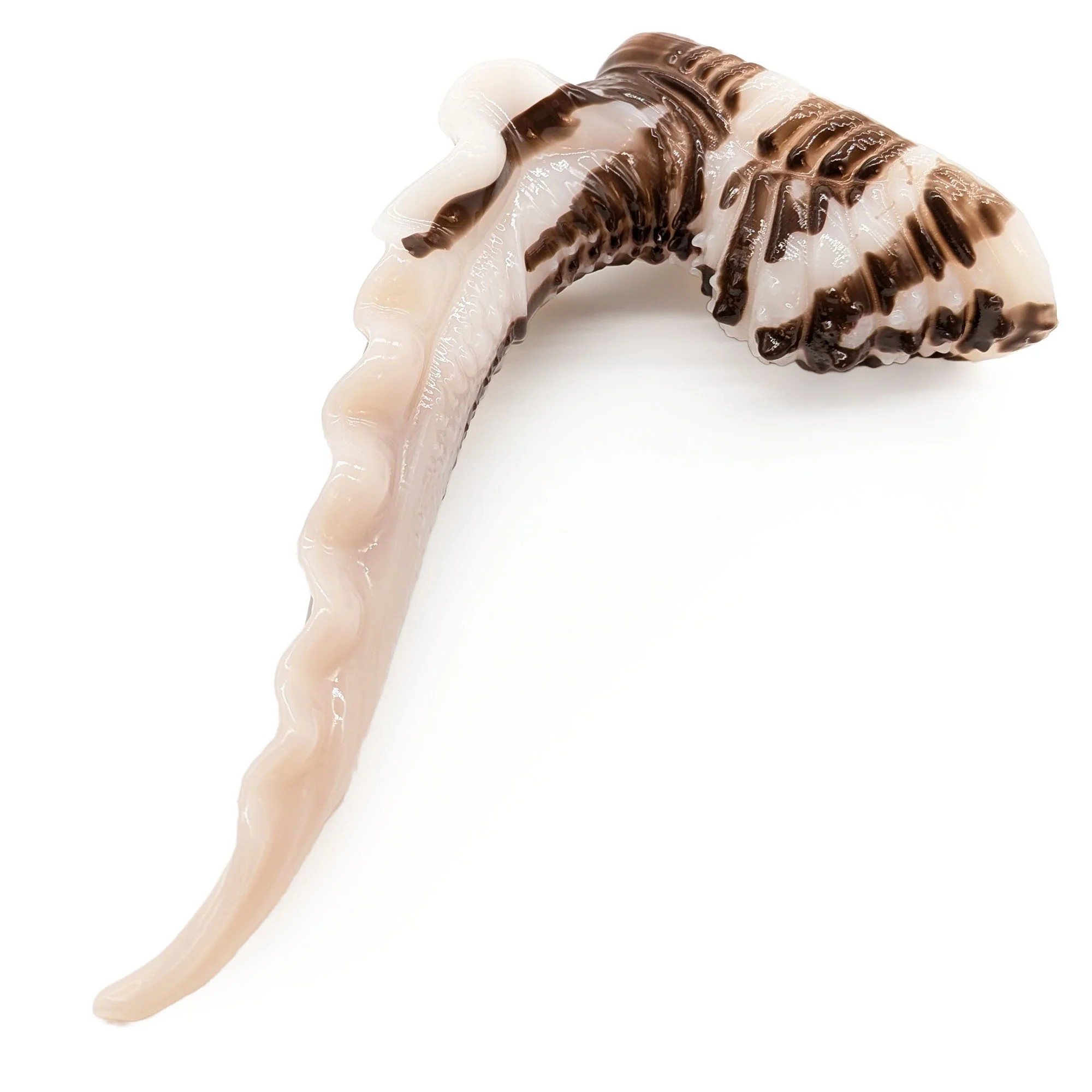 Scylla M-3900 ~ Medium Size ~ Soft - Image 2