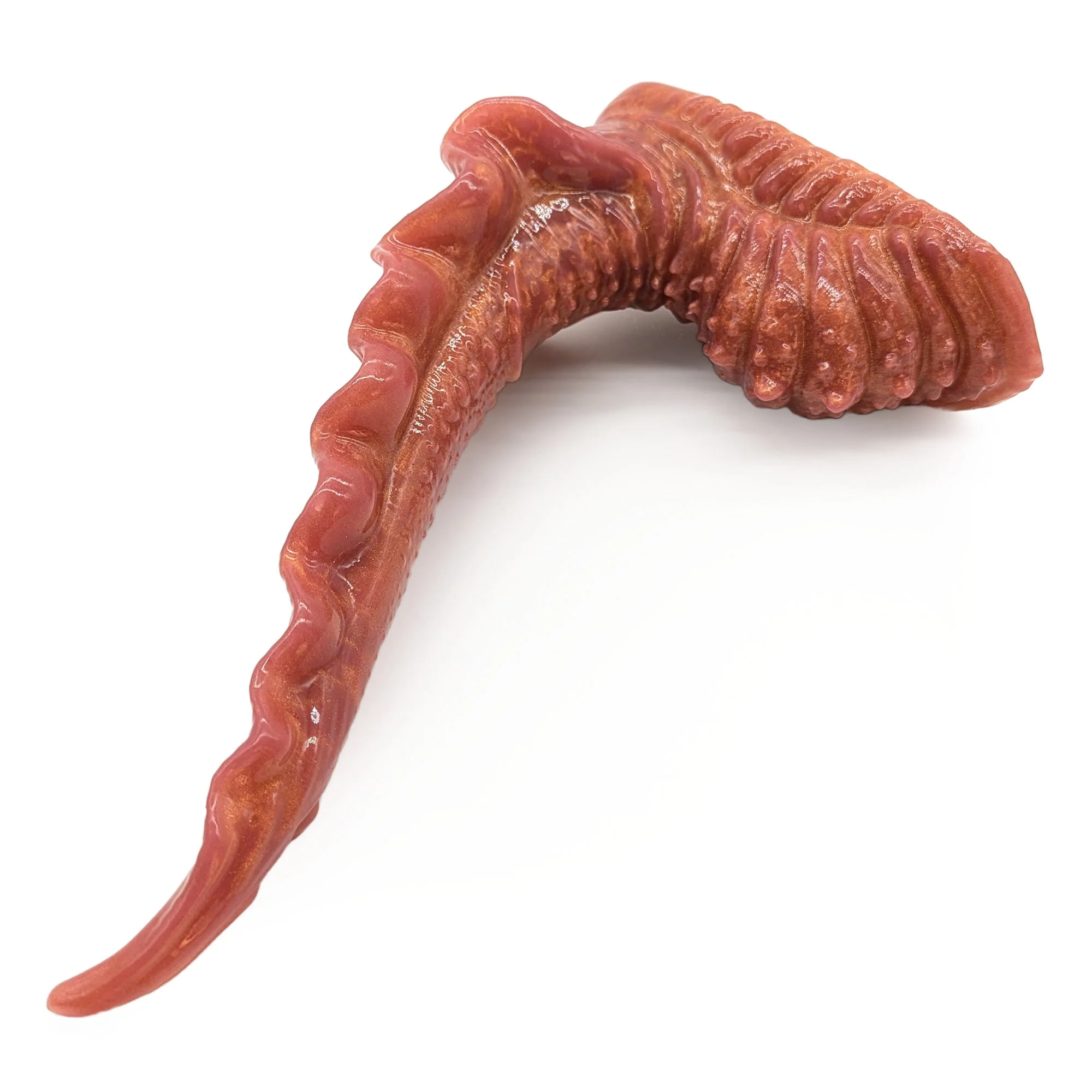 Scylla M-31112 ~ Medium Size ~ Soft - Image 2